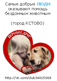 Помощь бездомным животным: http://vk.com/club34015068